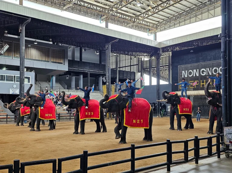 Elephant Show