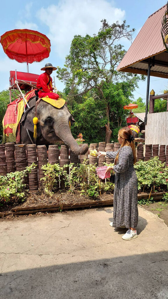 Chang Puak Camp Damnoen Saduak