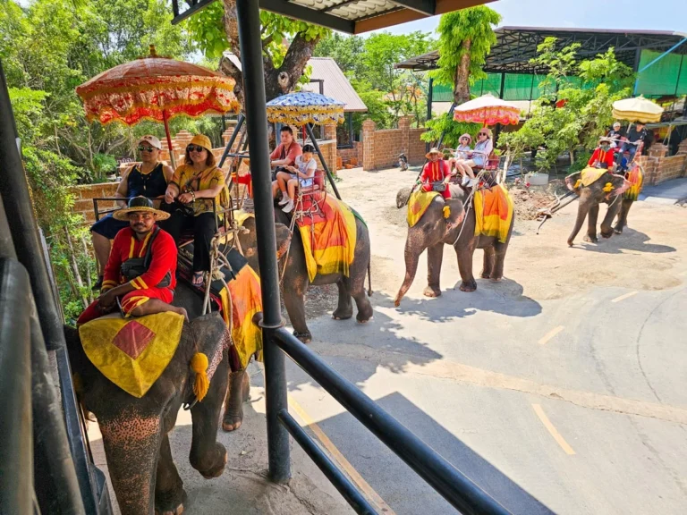 Elephant Ride