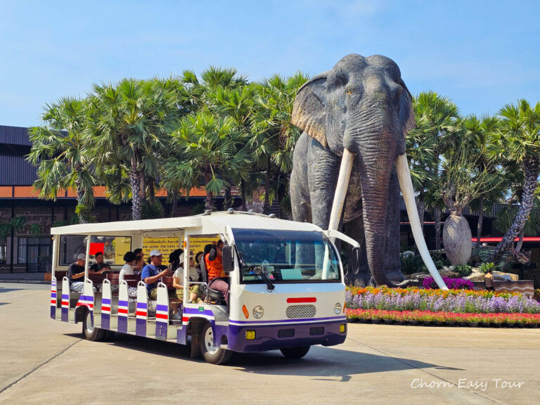 Sightseeing Bus