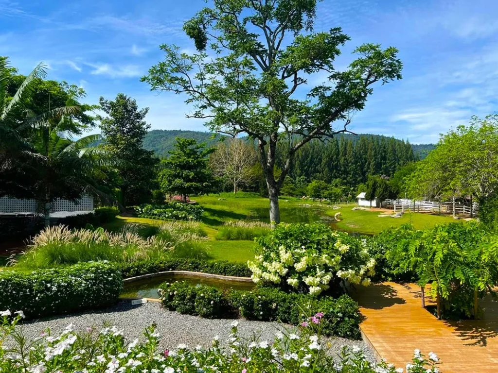 BUCOLIC Khaoyai