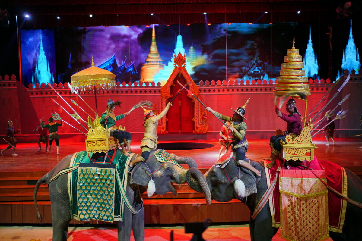 Cultural & Elephant Shows