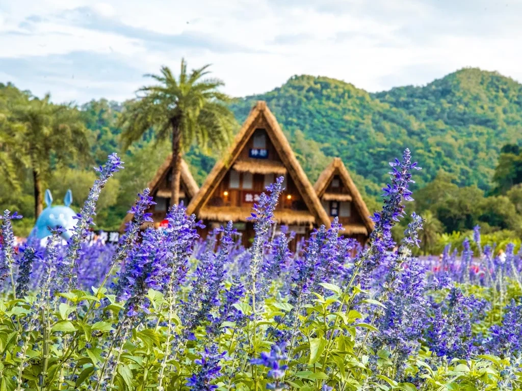 Hokkaido Flower Park Khaoyai
