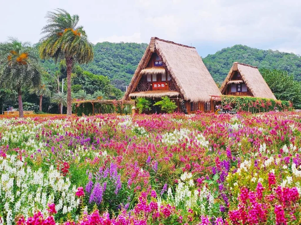 Hokkaido Flower Park Khaoyai