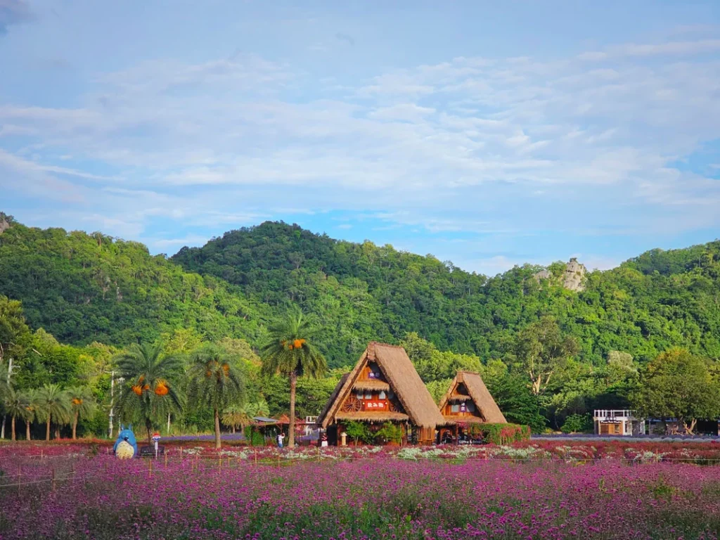 Hokkaido Flower Park Khaoyai