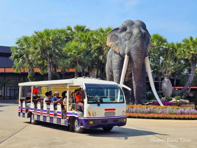 Sightseeing Bus