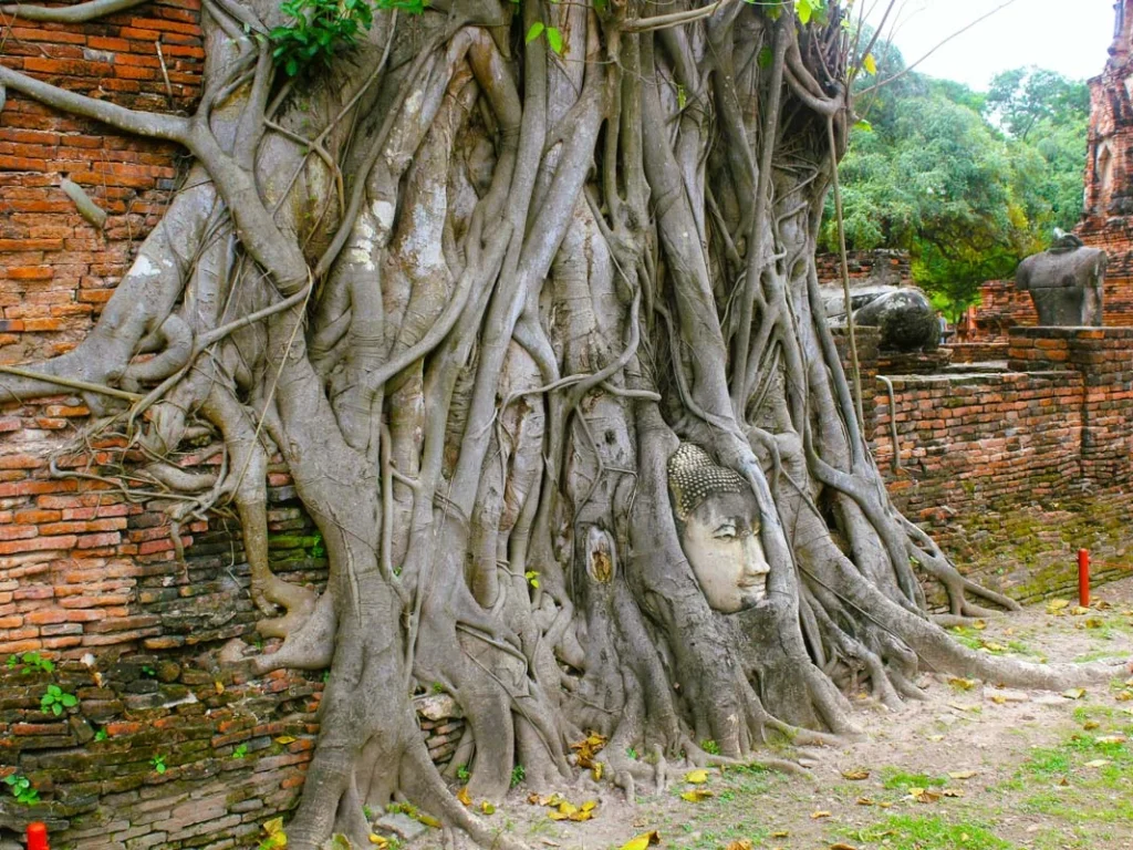 Wat Mahathat