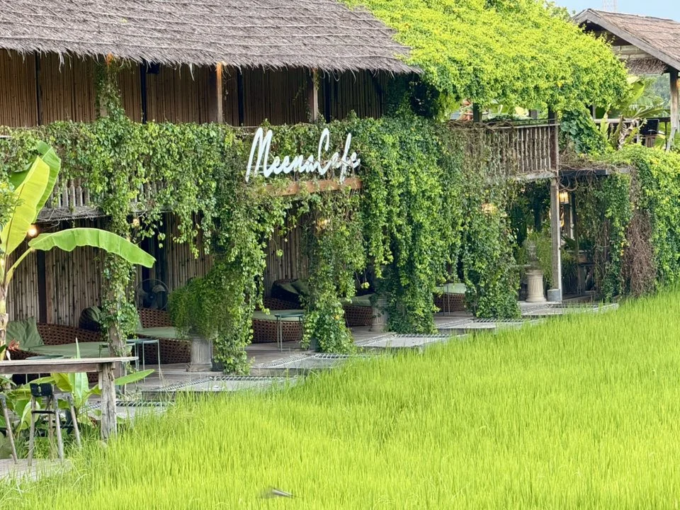 Meena Café