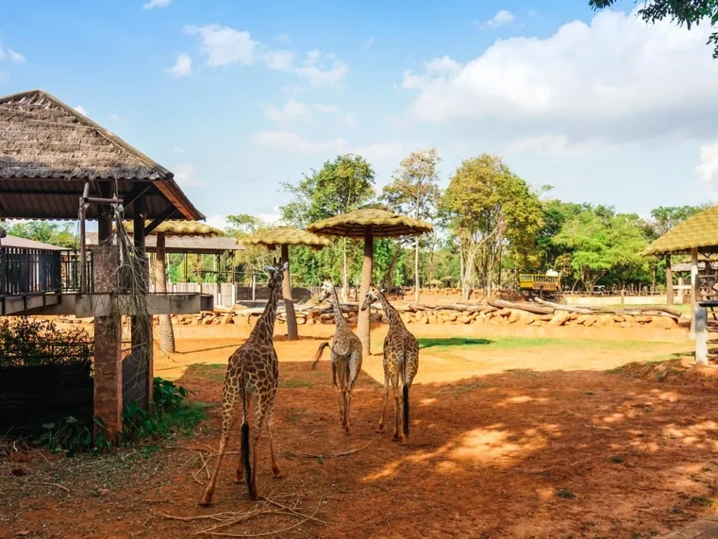Safari World