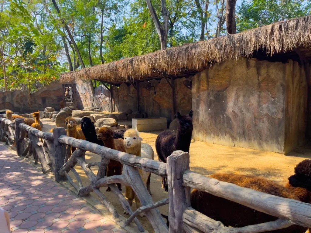 Safari World