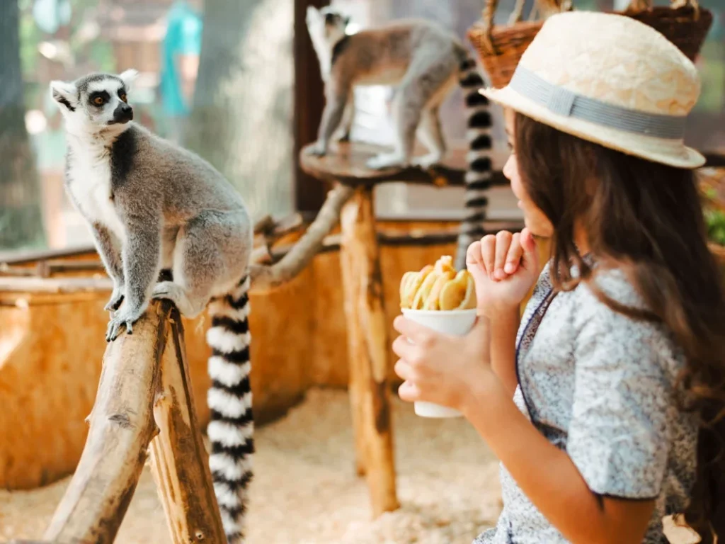 Safari World
