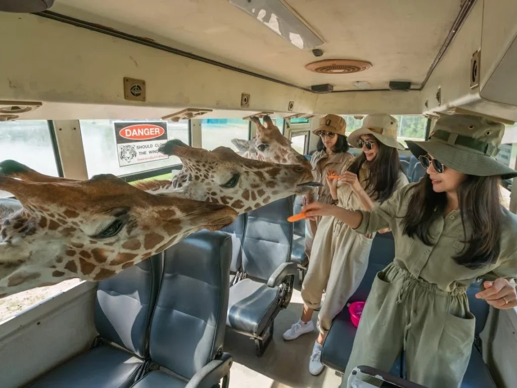 Safari Park Kanchanaburi