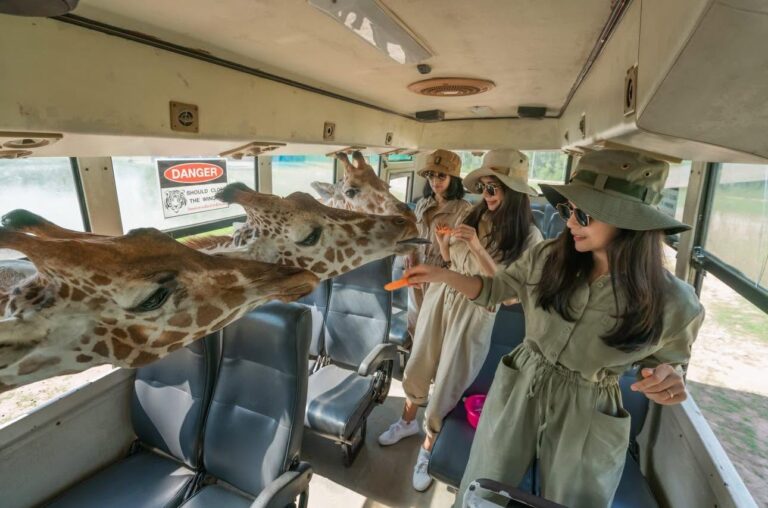 Safari Bus Ride
