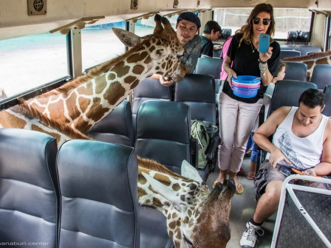 Safari Park Kanchanaburi