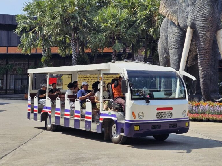 Sightseeing Bus