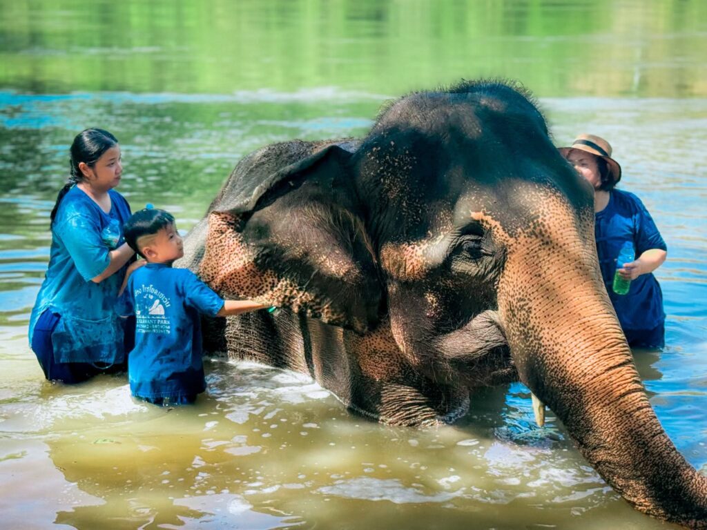 Kanchanaburi Tour Package 3