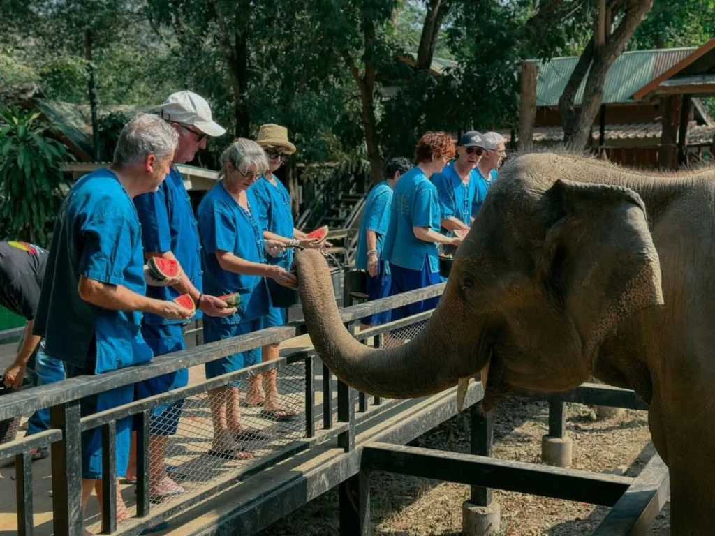Sai Yok Elephant Park