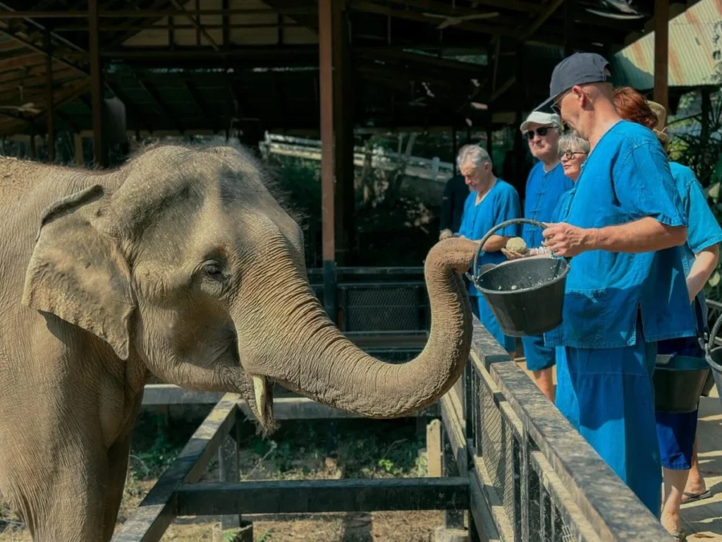 Sai Yok Elephant Park