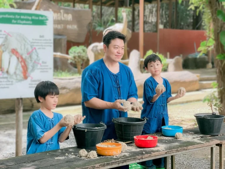 Elephant Food Preparation