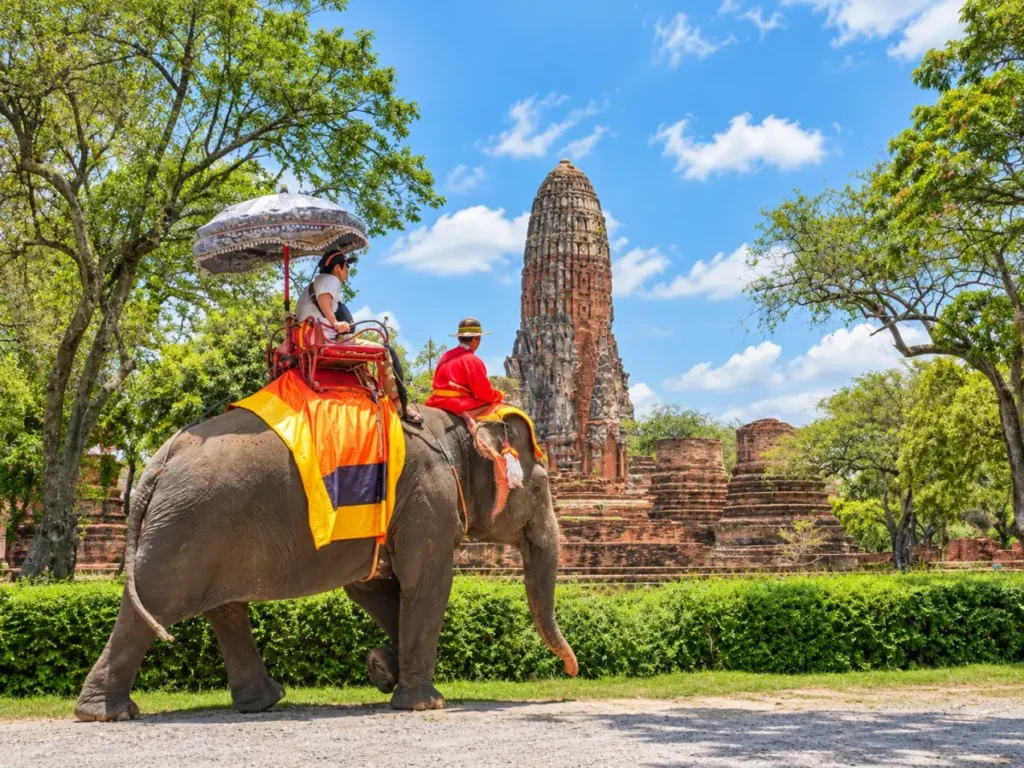 Ayutthaya Elephant Palace & Royal Kraal