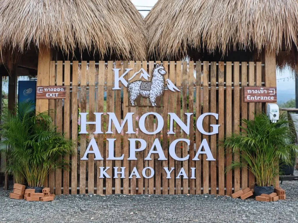 K Hmong Alpaca Khao Yai