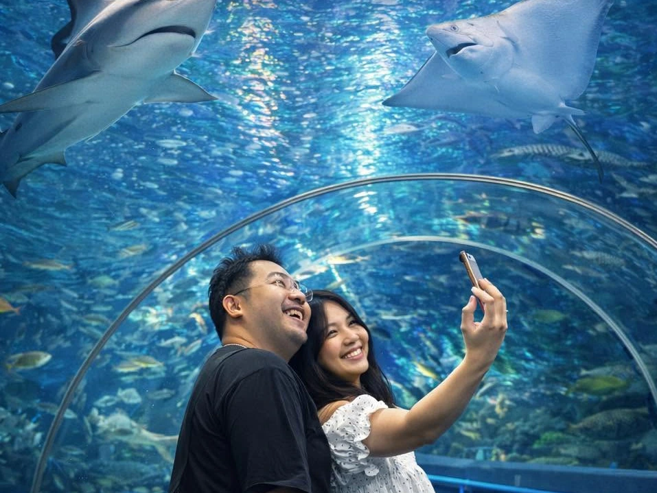 Underwater World Pattaya
